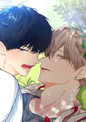 后屋的客人