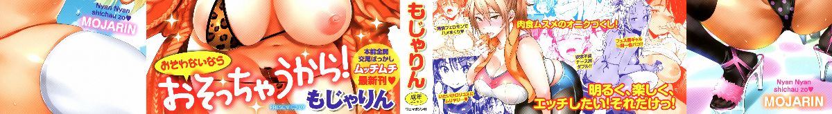Nyan Nyan Shichau zo !  [篆儀通文書坊漢化